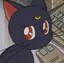 Ririkaのプロフィール画像