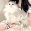 tommyのプロフィール画像
