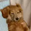 mのプロフィール画像