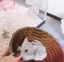あやのプロフィール画像