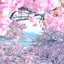 あんのプロフィール画像