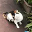 なみかのプロフィール画像