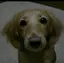 みかのプロフィール画像