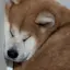 てるのプロフィール画像