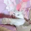むしゃのプロフィール画像