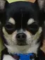 (๑´ڡ`๑)のプロフィール画像