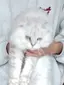 なんなんのプロフィール画像