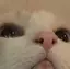 みぽのプロフィール画像