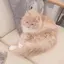 リリーのプロフィール画像