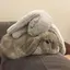 みおのプロフィール画像