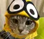 みなのプロフィール画像
