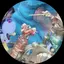みゆのプロフィール画像