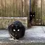 みさとのプロフィール画像