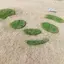 さおりのプロフィール画像