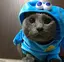 りなのプロフィール画像