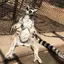 のんたまのプロフィール画像