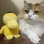 さきのプロフィール画像