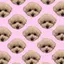 ゆゆゆのプロフィール画像