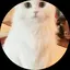 hiroのプロフィール画像