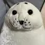 🦭のプロフィール画像