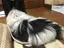 もとよのプロフィール画像