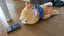 Tac.tのプロフィール画像