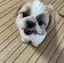 ゆかりのプロフィール画像