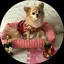 はっぴーのプロフィール画像