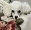 haruのプロフィール画像