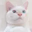 まほのプロフィール画像