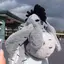 たのプロフィール画像