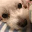 ひのプロフィール画像