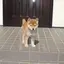 まみのプロフィール画像