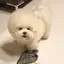kumiのプロフィール画像
