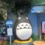 cocochiのプロフィール画像