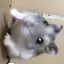 ももせさんのプロフィール画像