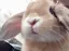 yupのプロフィール画像