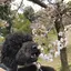 jonkichi♡のプロフィール画像