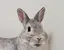 あおのプロフィール画像