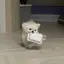 あやのプロフィール画像