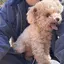 つくしのプロフィール画像