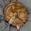 0625のプロフィール画像