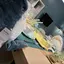 maiのプロフィール画像