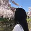 SAKUのプロフィール画像