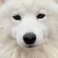 NOCOのプロフィール画像
