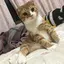 まりあのプロフィール画像