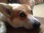 マキのプロフィール画像