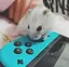 rariのプロフィール画像