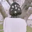 い ず みのプロフィール画像