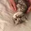 aoのプロフィール画像